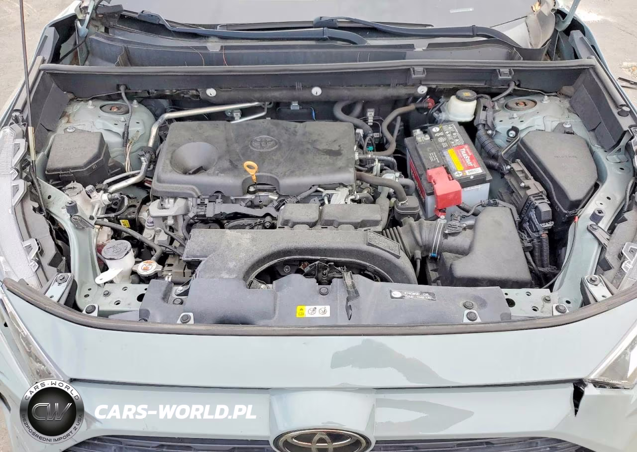 2019 Toyota Rav4 Xle VIN:2T3W1RFV8KC015716 - 12