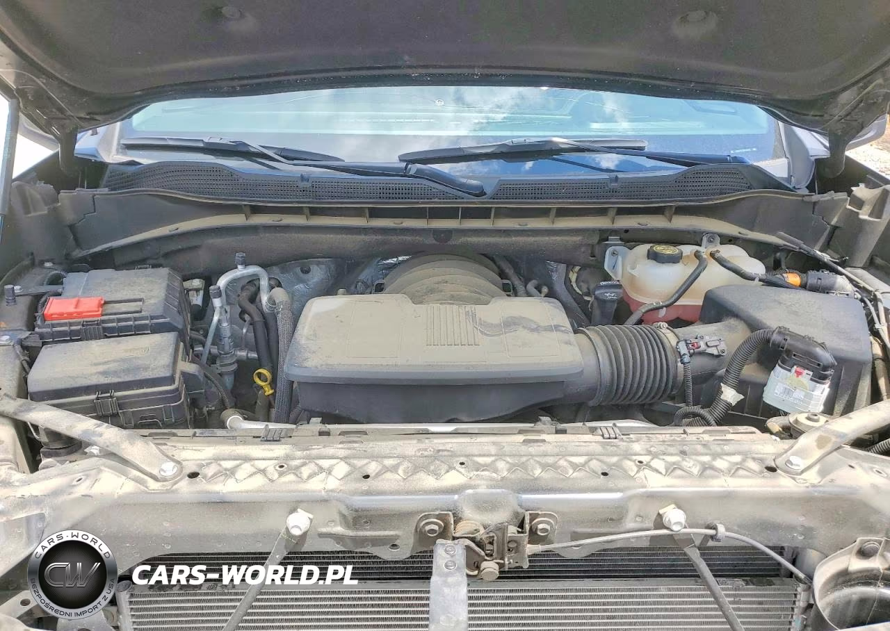 2023 Chevrolet Silverado K1500 Lt Trail Boss VIN:3GCUDFED3PG161517 - 11