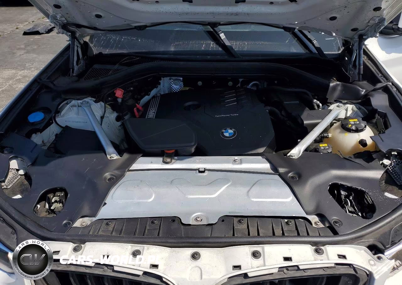 2022 BMW X3 Sdrive30I VIN:5UX43DP06N9K92180 - 12