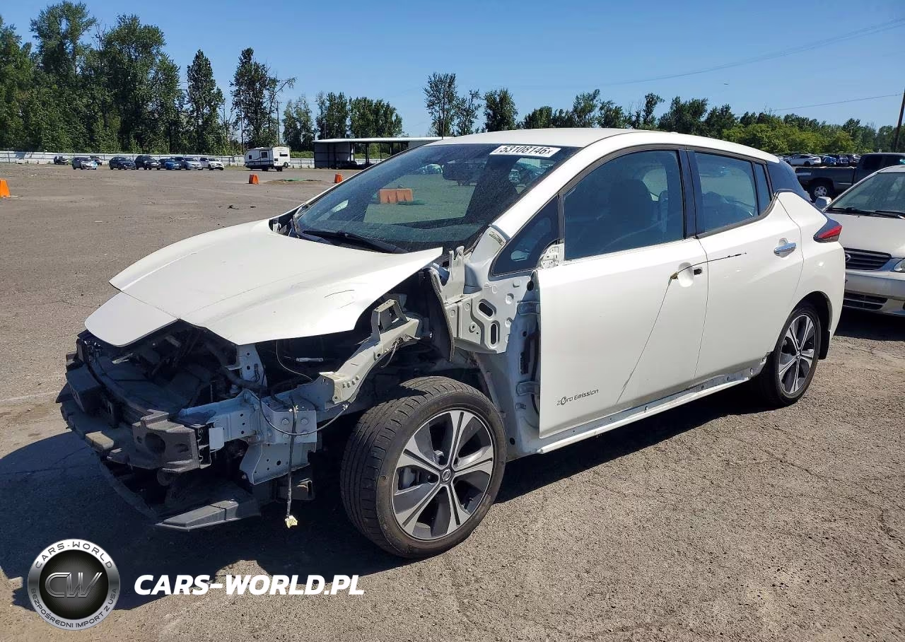2019 Nissan Leaf Sv Plus