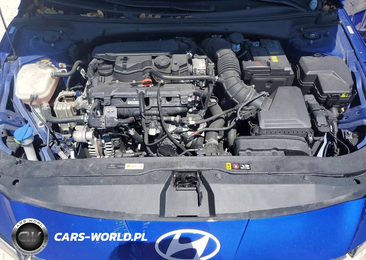 2024 Hyundai Elantra N Line VIN:KMHLR4DF3RU772647 - 11