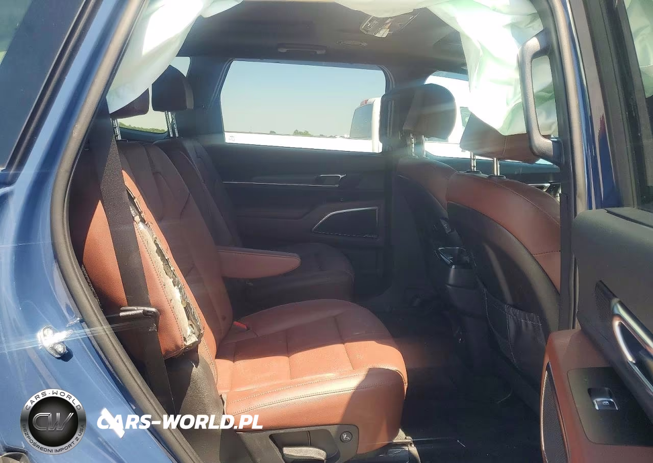 2025 Kia Telluride Sx VIN:5XYP5DGC3SG689181 - 11