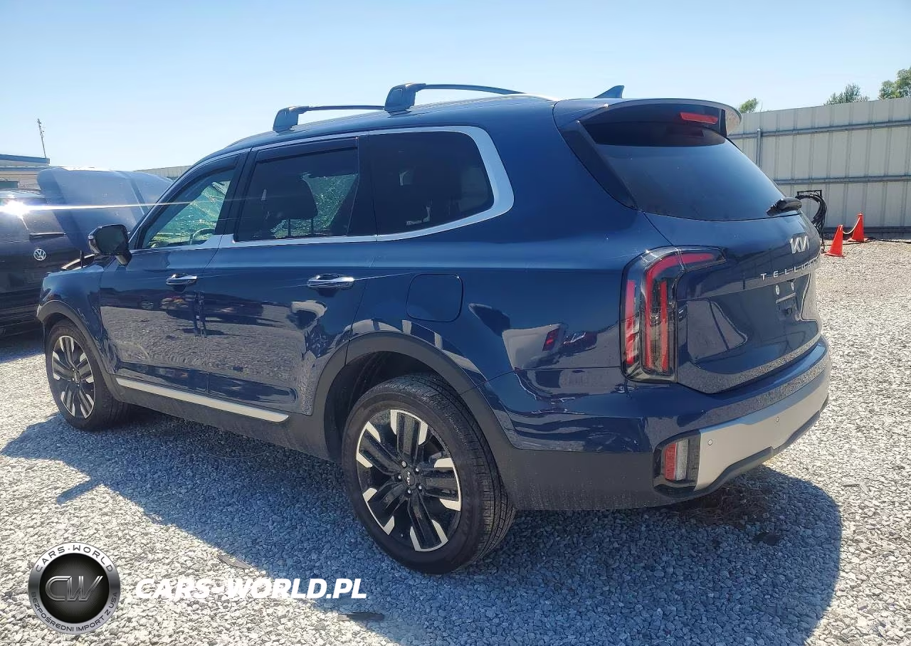2025 Kia Telluride Sx VIN:5XYP5DGC3SG689181 - 2