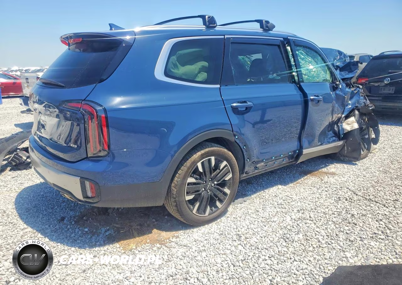 2025 Kia Telluride Sx VIN:5XYP5DGC3SG689181 - 3