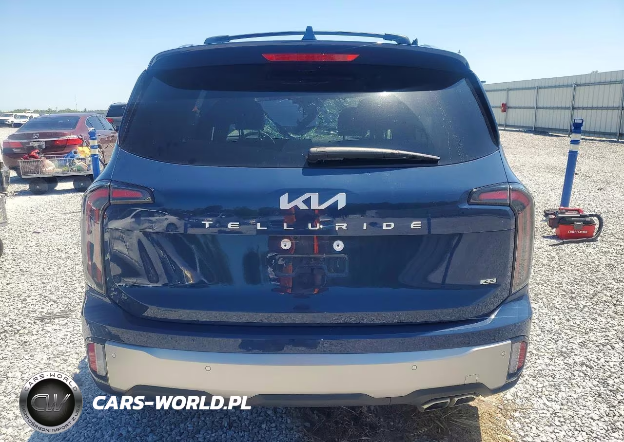 2025 Kia Telluride Sx VIN:5XYP5DGC3SG689181 - 6