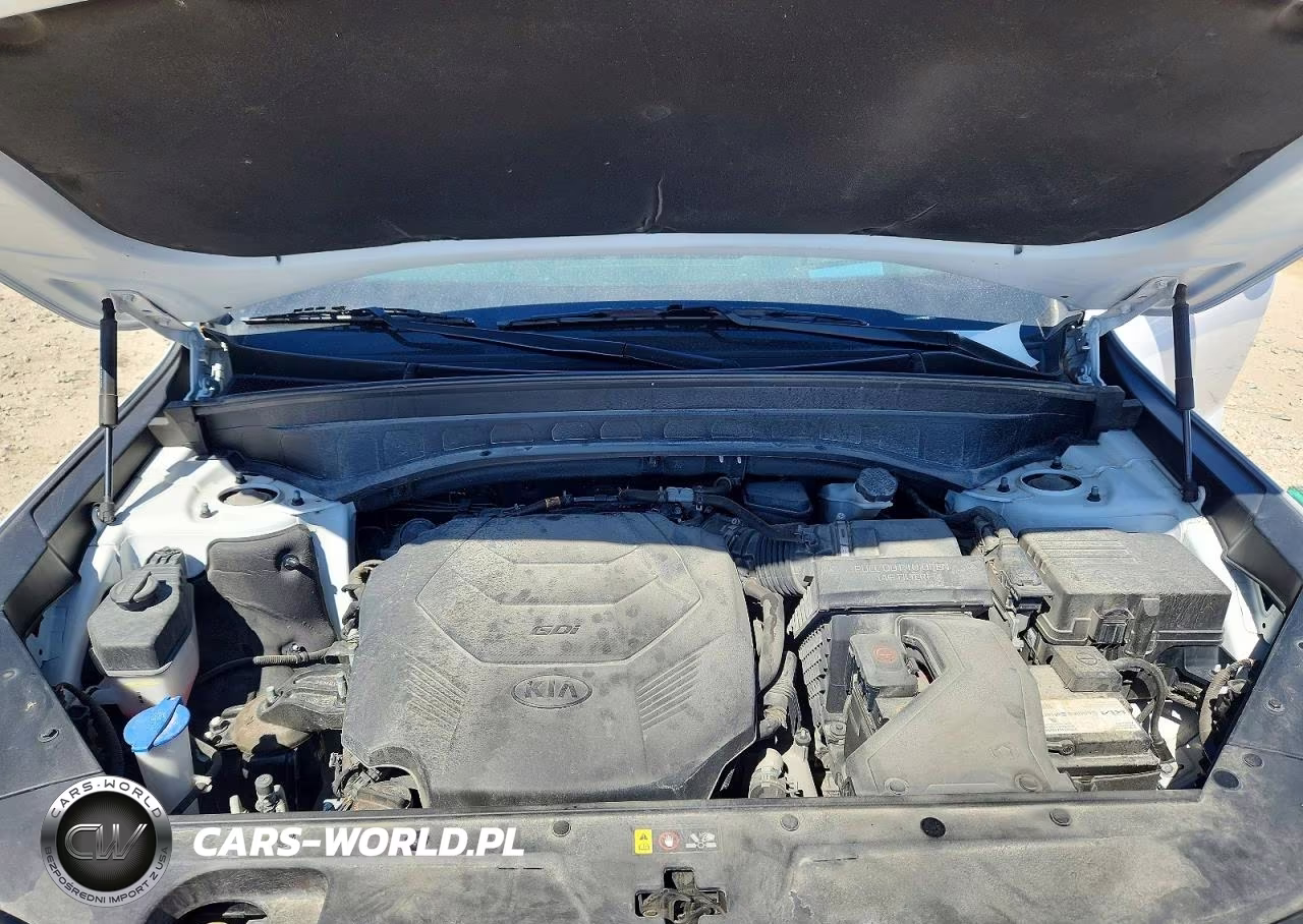 2021 Kia Telluride Sx VIN:5XYP5DHC0MG188928 - 12