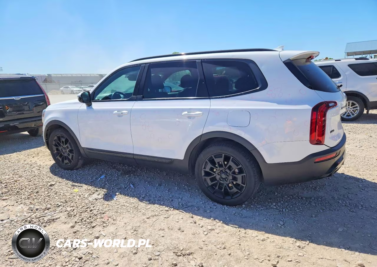 2021 Kia Telluride Sx VIN:5XYP5DHC0MG188928 - 2