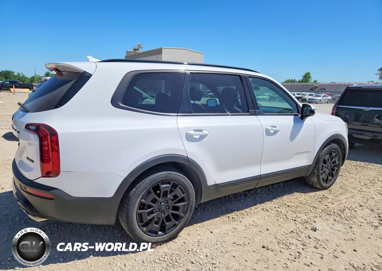 2021 Kia Telluride Sx VIN:5XYP5DHC0MG188928 - 3