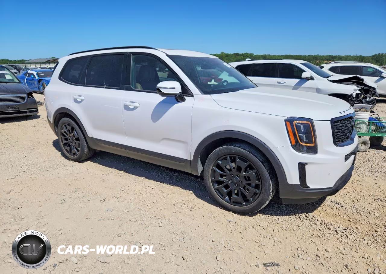 2021 Kia Telluride Sx VIN:5XYP5DHC0MG188928 - 4