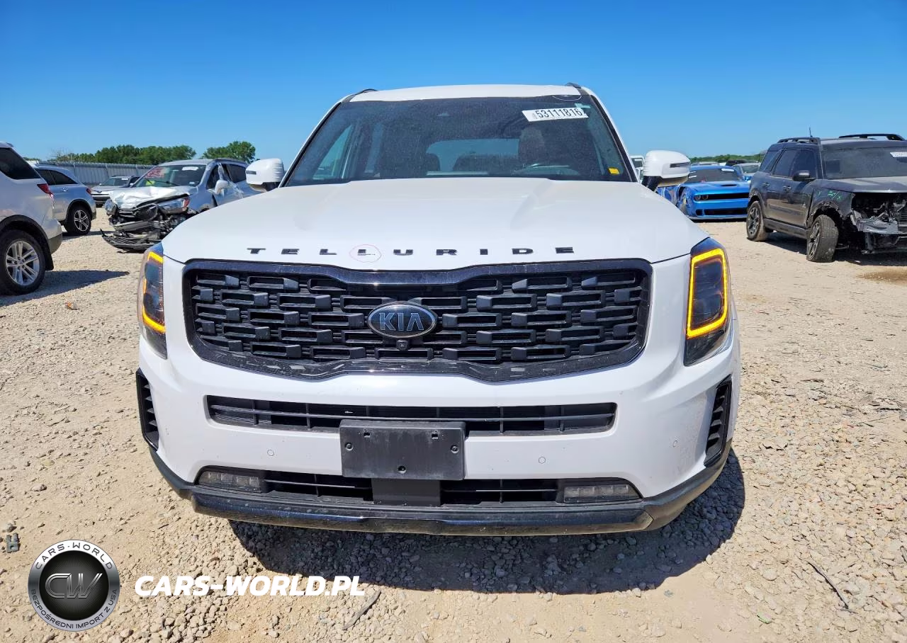 2021 Kia Telluride Sx VIN:5XYP5DHC0MG188928 - 5