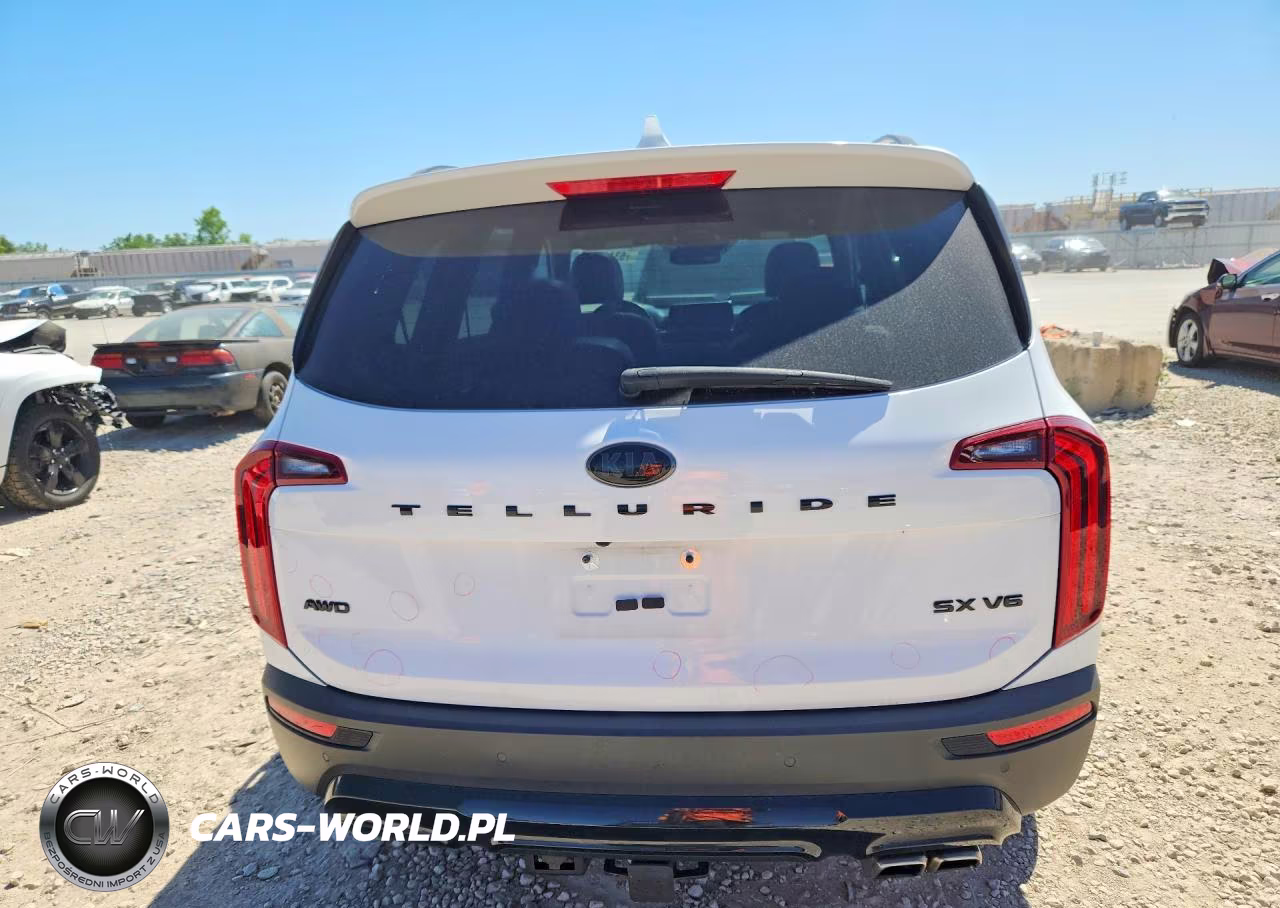 2021 Kia Telluride Sx VIN:5XYP5DHC0MG188928 - 6