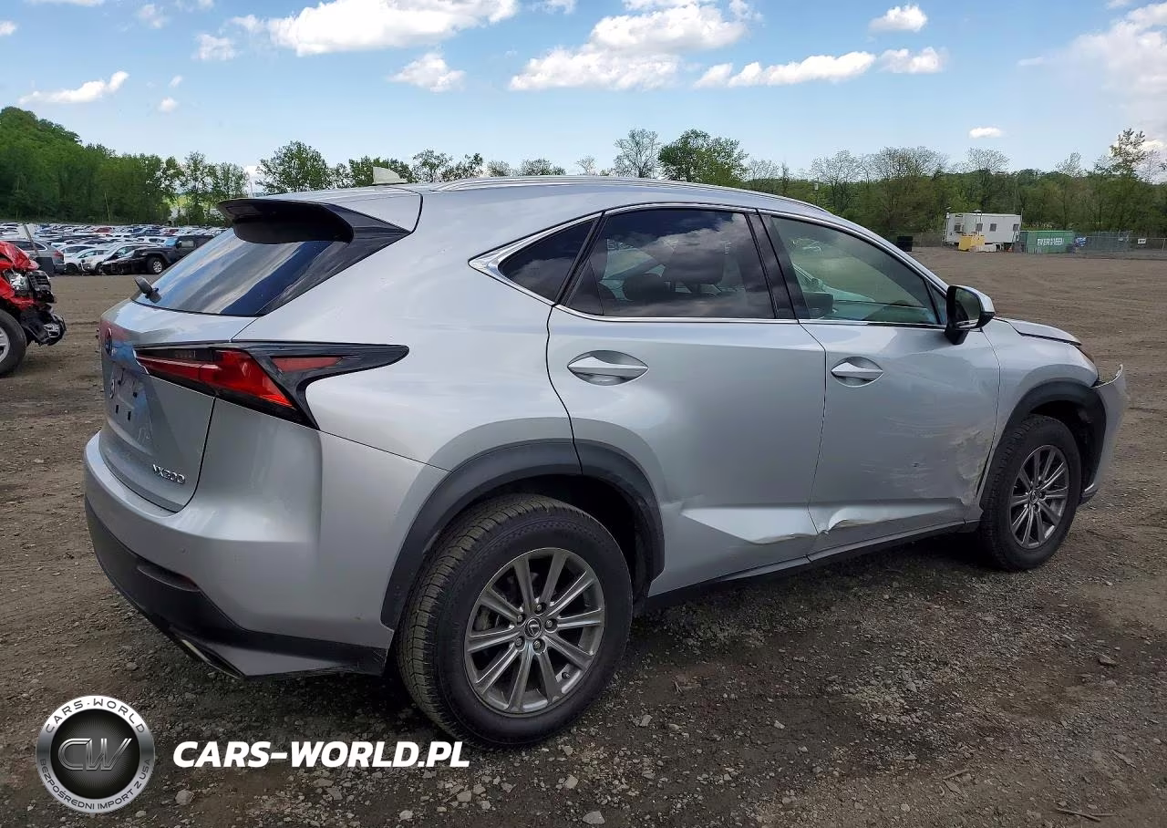 2019 Lexus Nx 300 Base VIN:JTJBARBZXK2190111 - 3