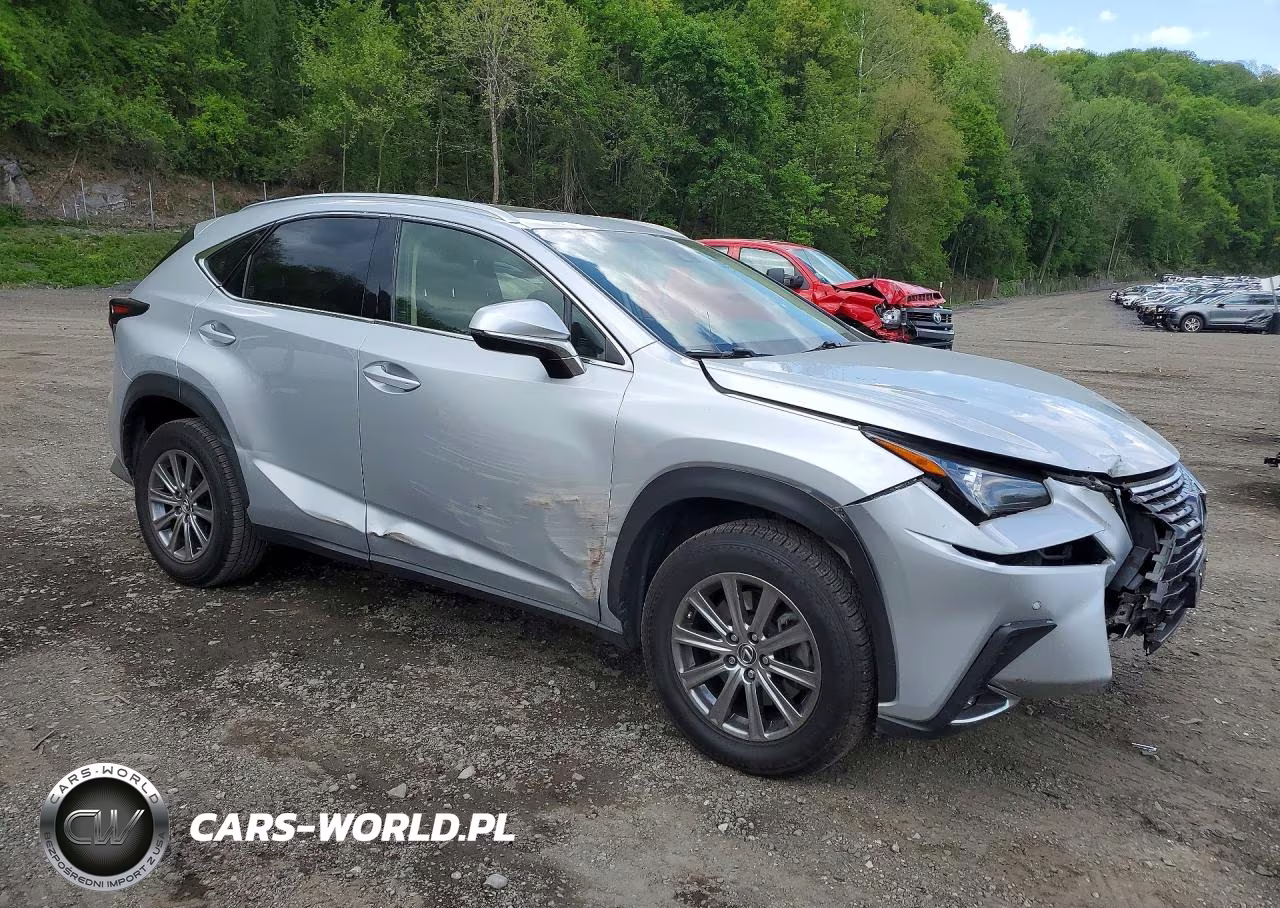 2019 Lexus Nx 300 Base VIN:JTJBARBZXK2190111 - 4