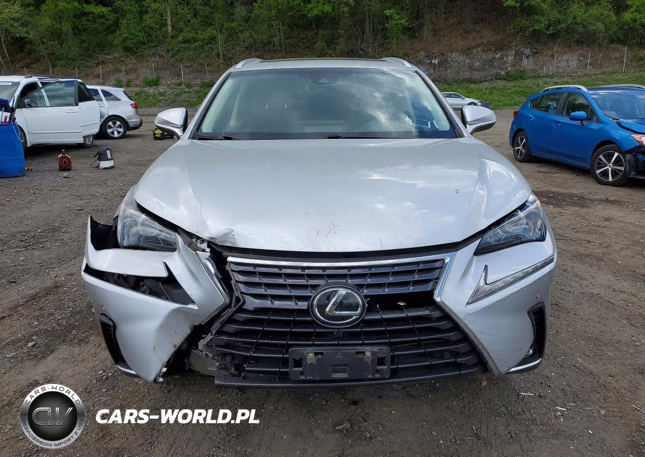2019 Lexus Nx 300 Base VIN:JTJBARBZXK2190111 - 5