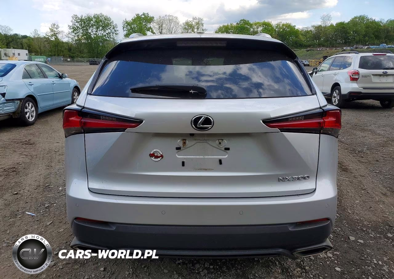 2019 Lexus Nx 300 Base VIN:JTJBARBZXK2190111 - 6