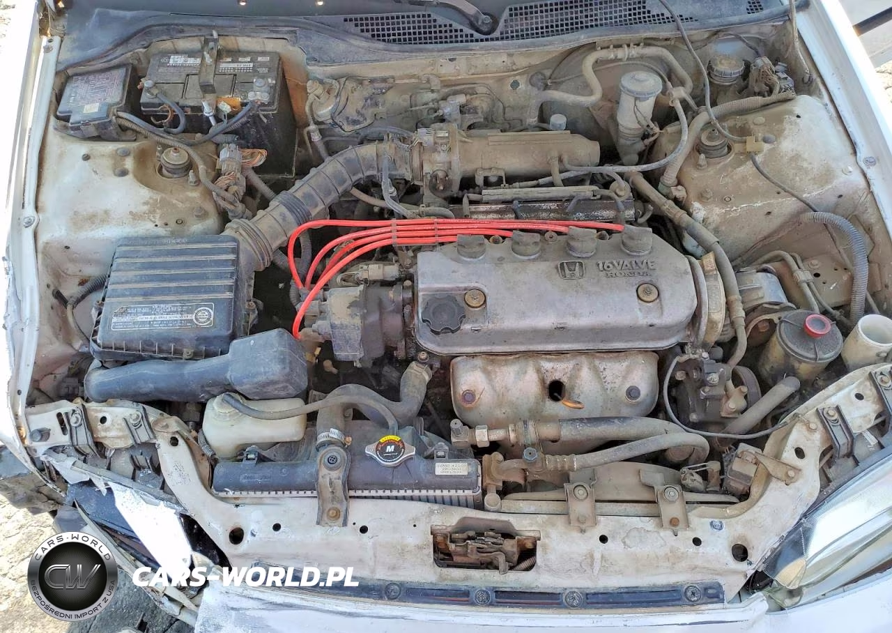 1995 Honda Civic 4D Lx VIN:JHMEG8540SS015163 - 11