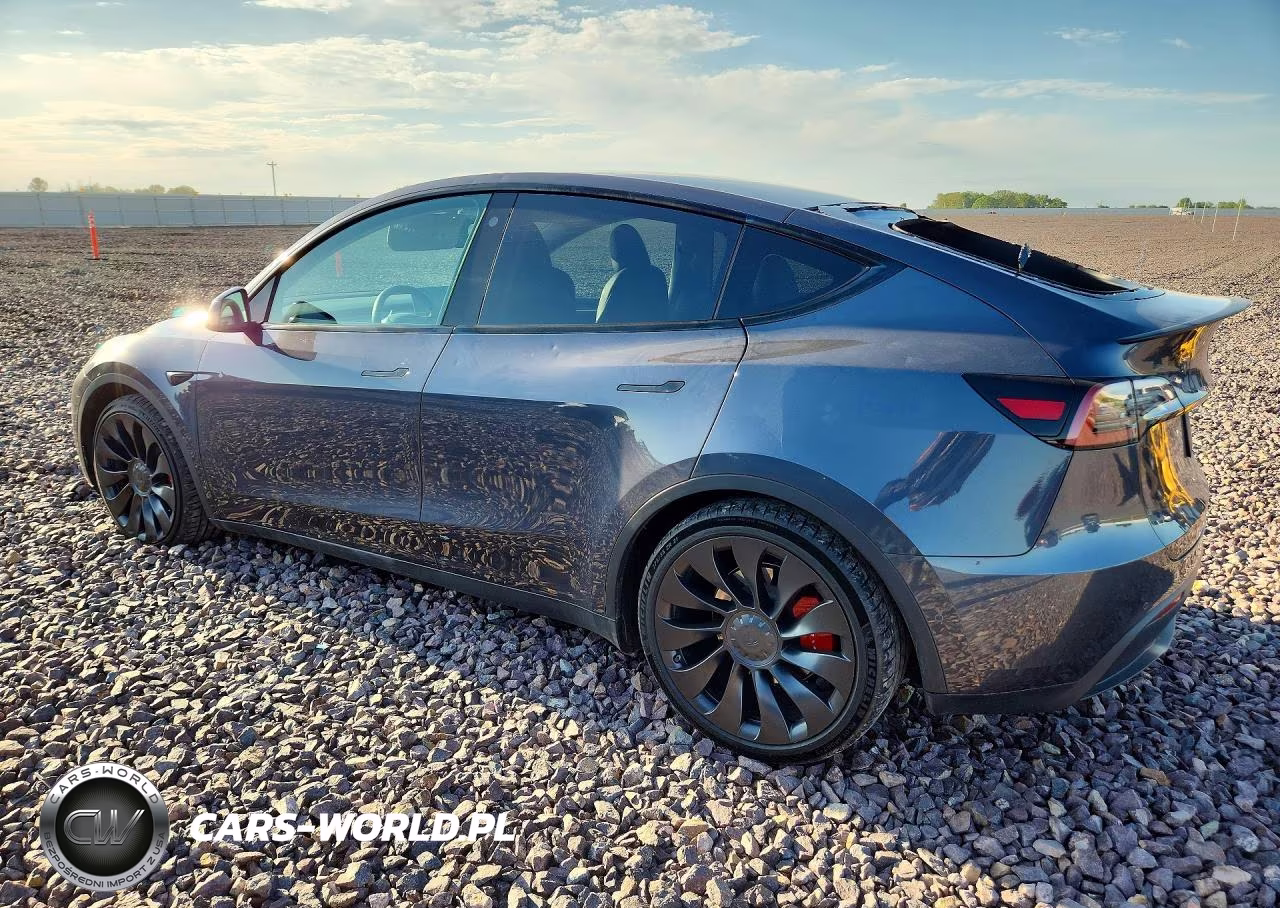 2022 Tesla Model Y VIN:7SAYGDEF5NF549207 - 2