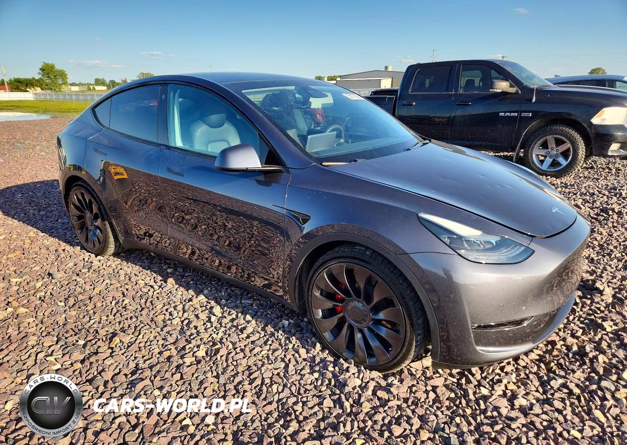 2022 Tesla Model Y VIN:7SAYGDEF5NF549207 - 4