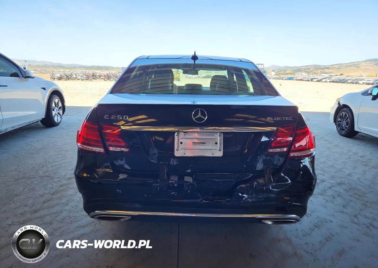 2014 Mercedes-Benz E 250 Bluetec VIN:WDDHF0EB4EA943396 - 6