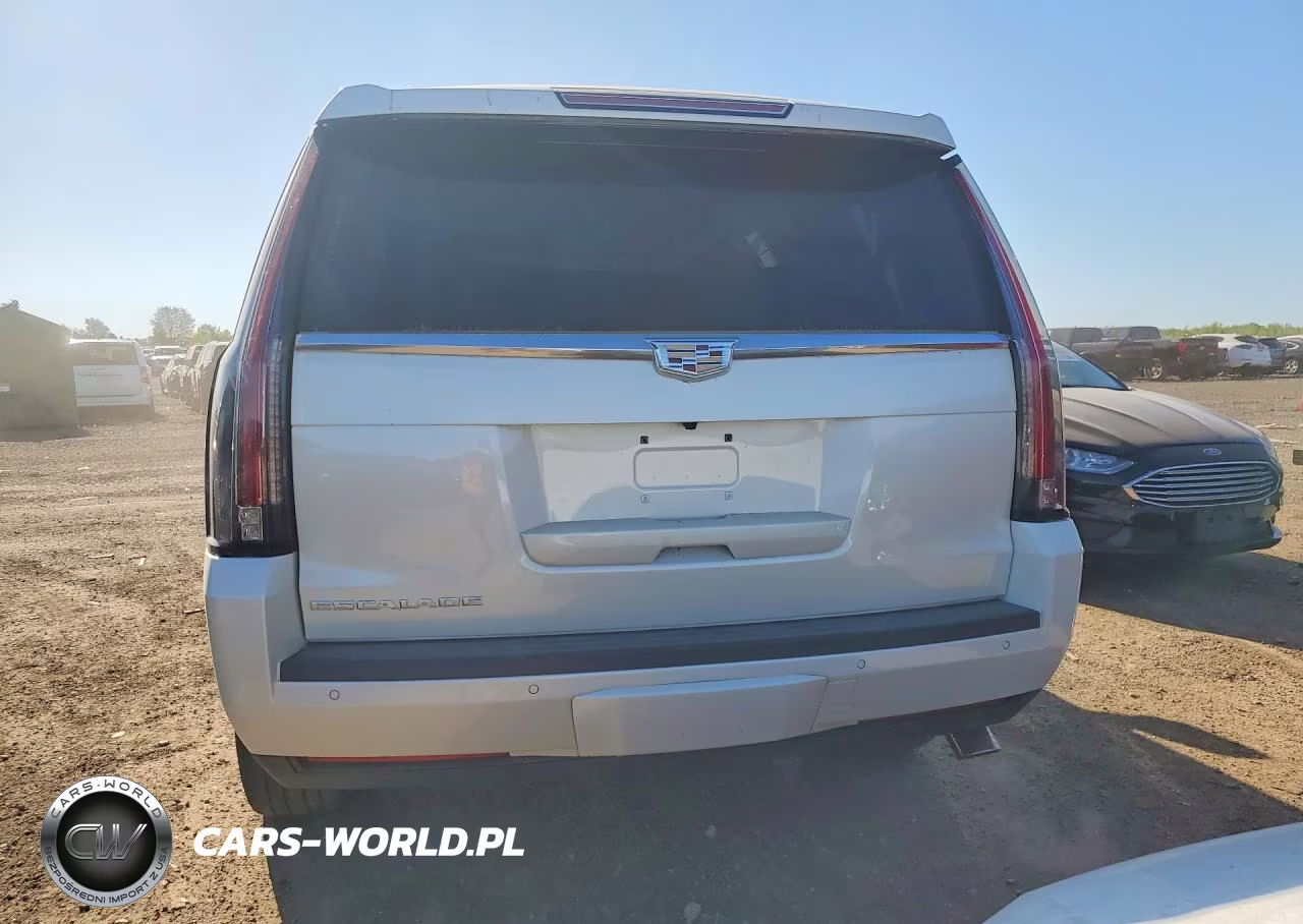 2015 Cadillac Escalade Luxury VIN:1GYS4MKJ8FR705069 - 6