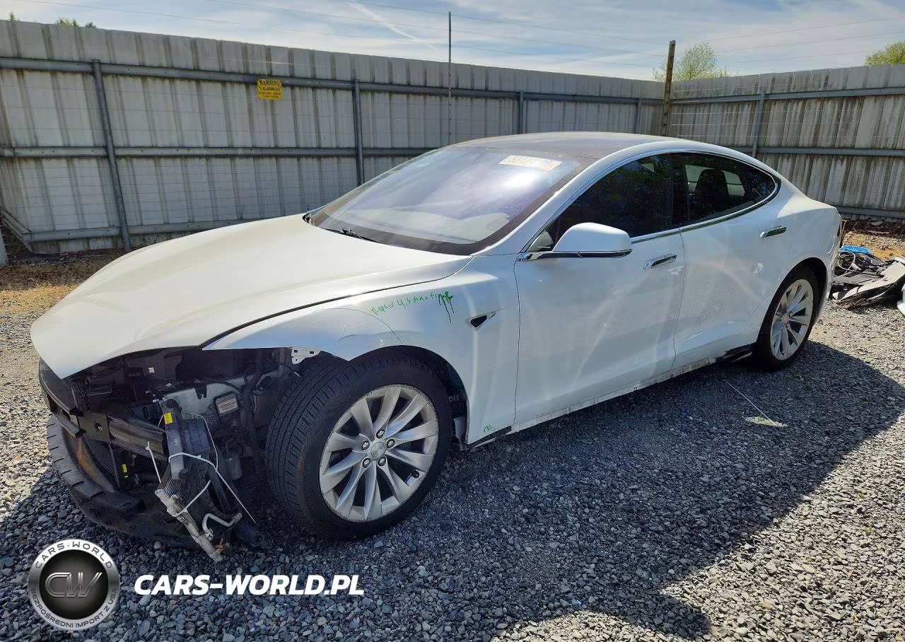 2019 Tesla Model S