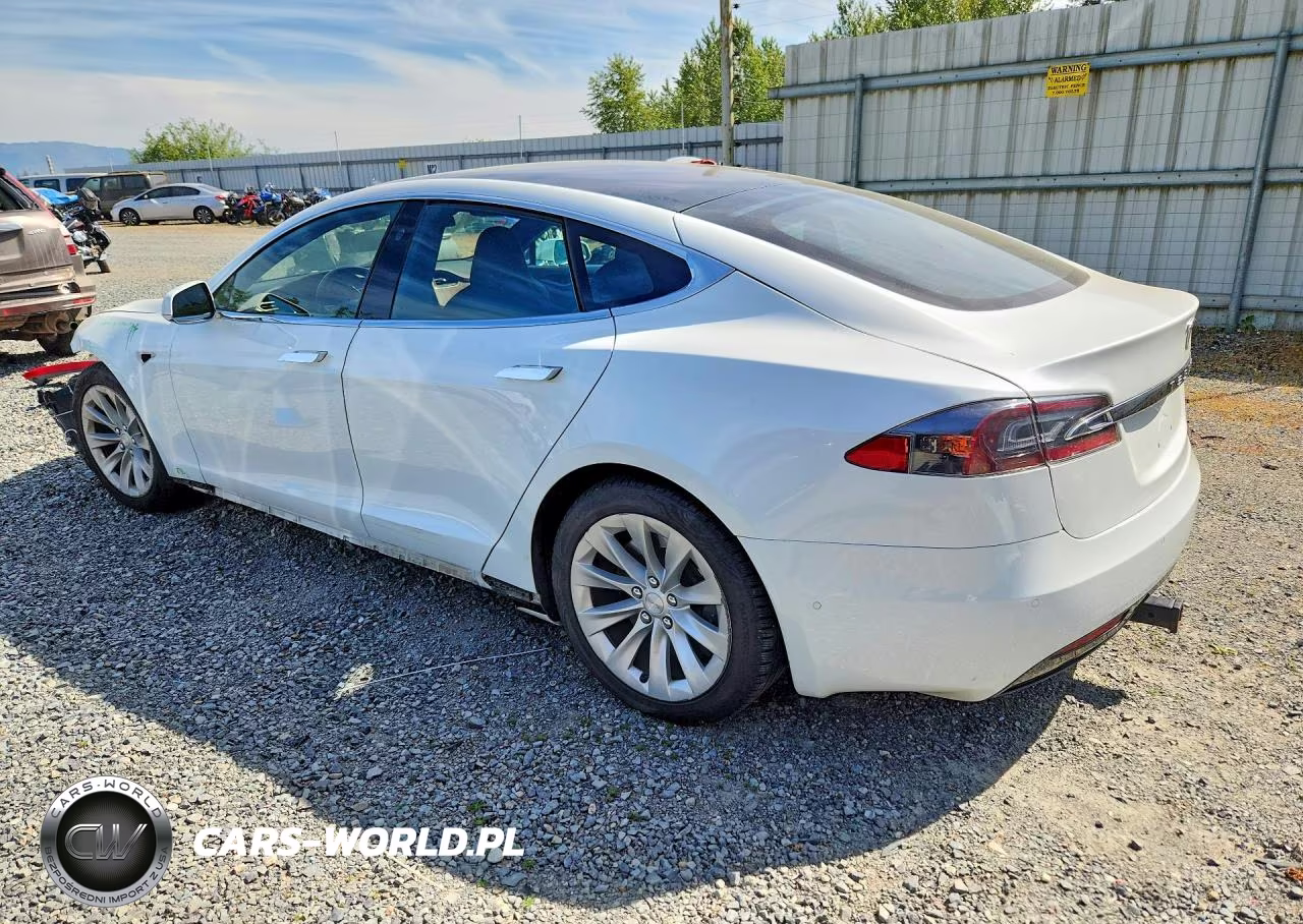 2019 Tesla Model S VIN:5YJSA1E27KF343804 - 2