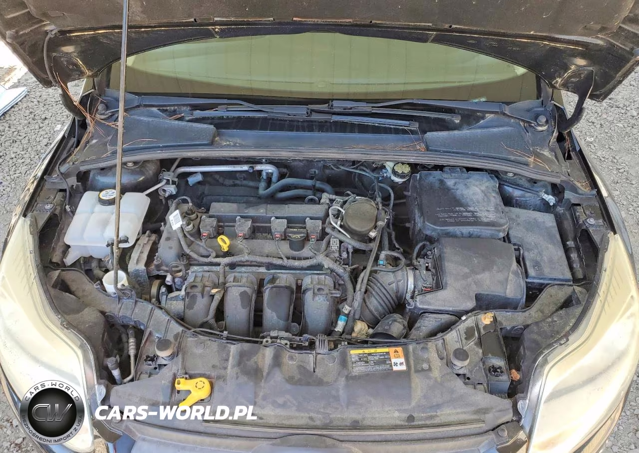2014 Ford Focus Se VIN:1FADP3F29EL230381 - 11