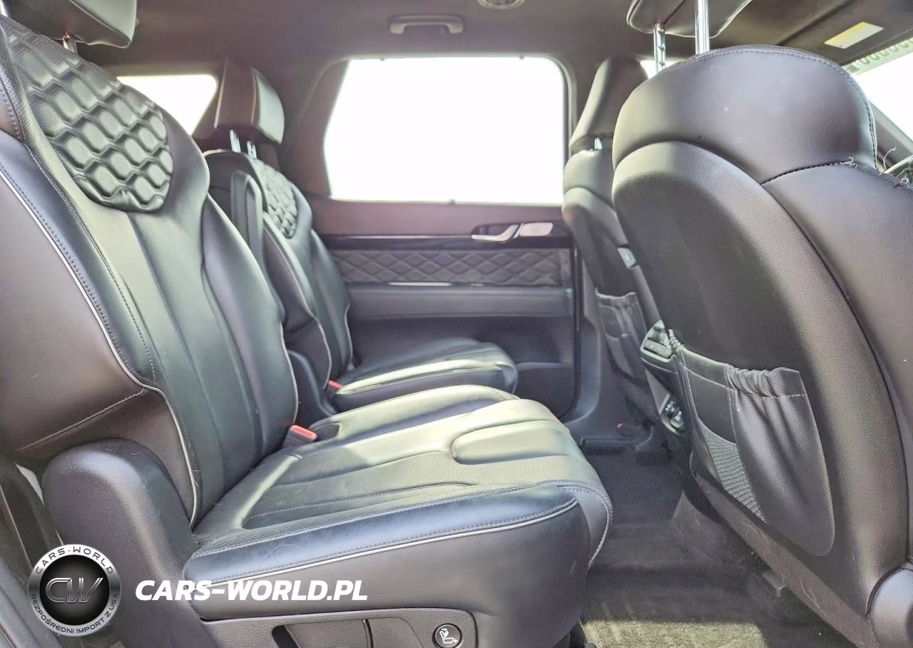 2022 Hyundai Palisade Calligraphy VIN:KM8R7DHE0NU458563 - 10