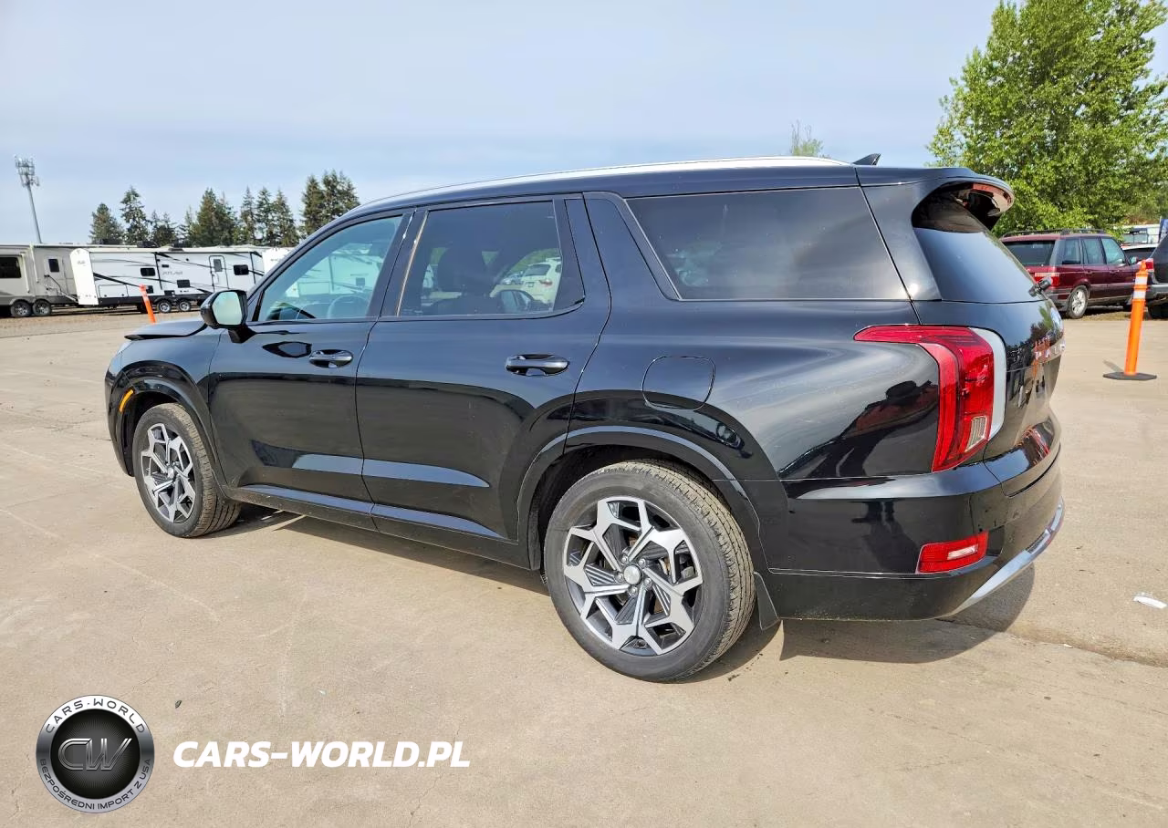 2022 Hyundai Palisade Calligraphy VIN:KM8R7DHE0NU458563 - 2