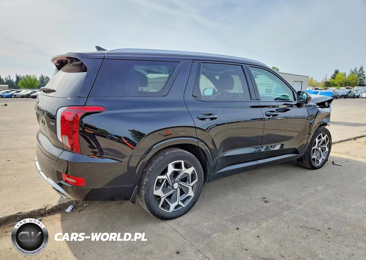2022 Hyundai Palisade Calligraphy VIN:KM8R7DHE0NU458563 - 3