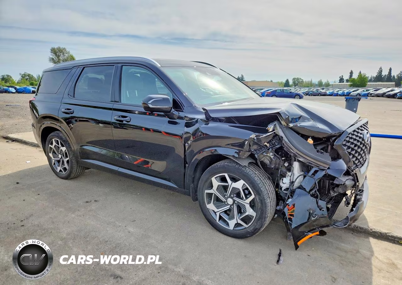 2022 Hyundai Palisade Calligraphy VIN:KM8R7DHE0NU458563 - 4