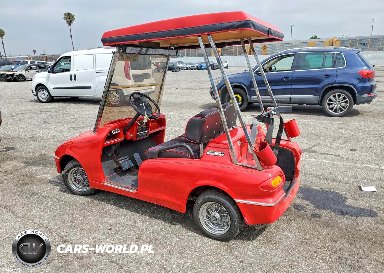 2016 Golf And Country Western Golf Cart VIN:0000000000011 - 10