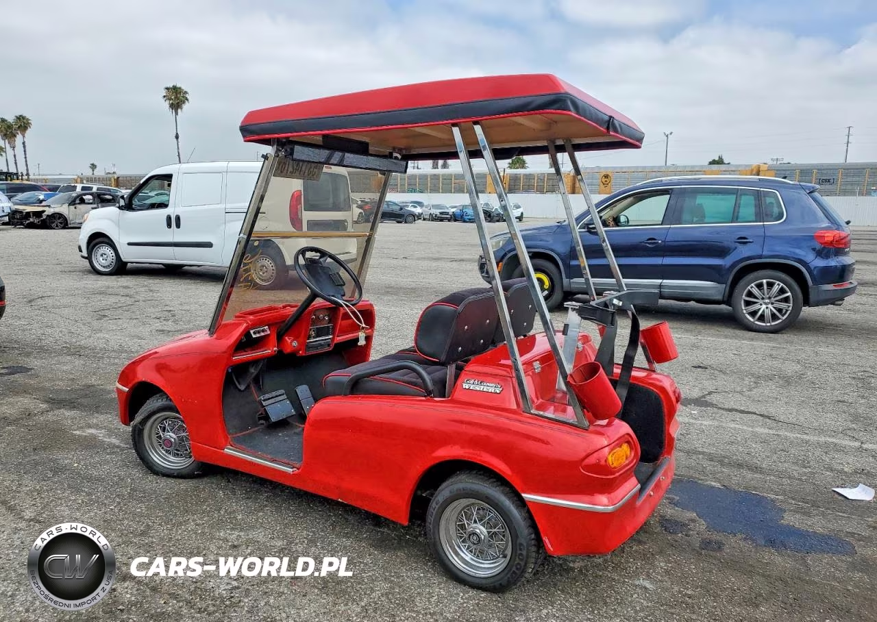 2016 Golf And Country Western Golf Cart VIN:0000000000011 - 3