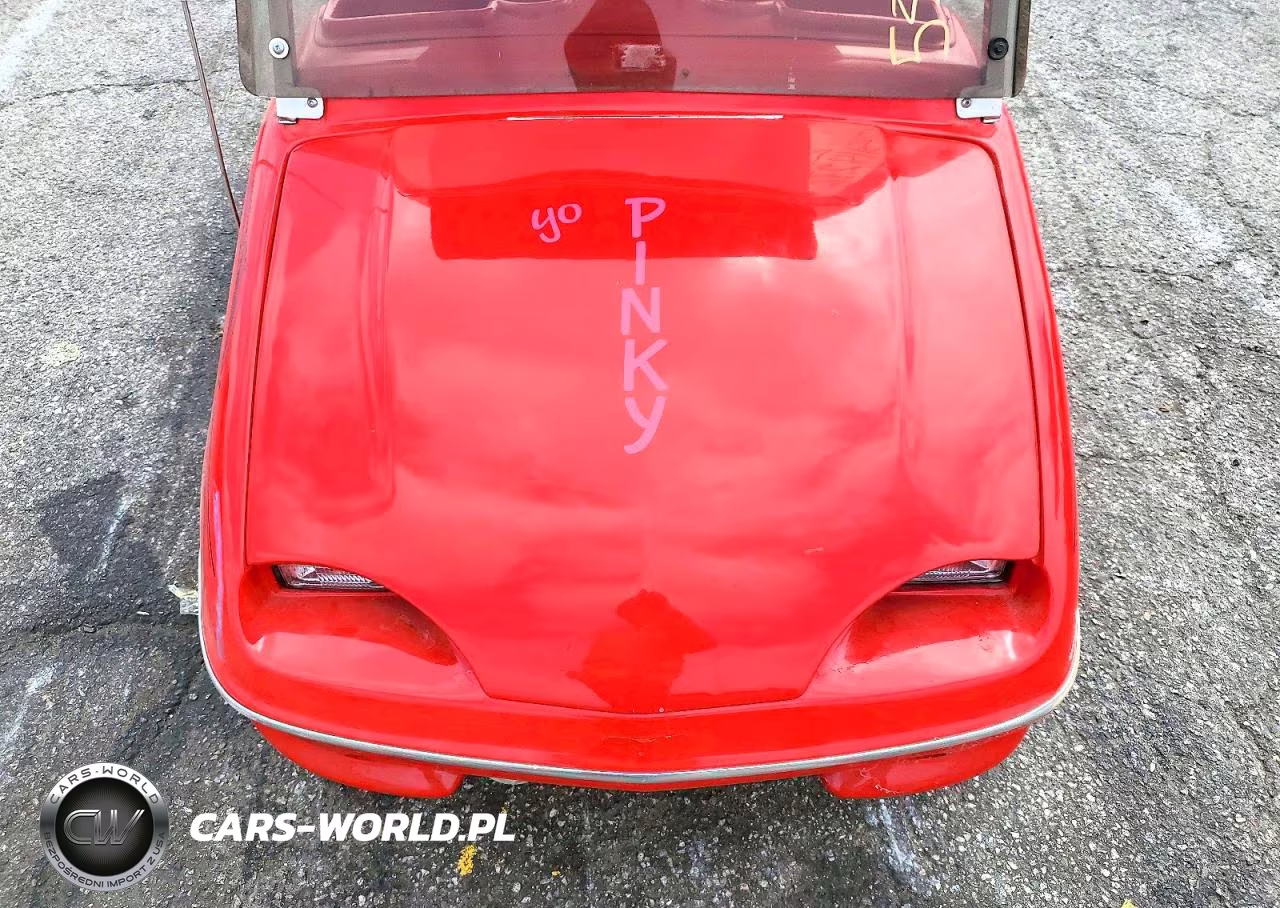 2016 Golf And Country Western Golf Cart VIN:0000000000011 - 7