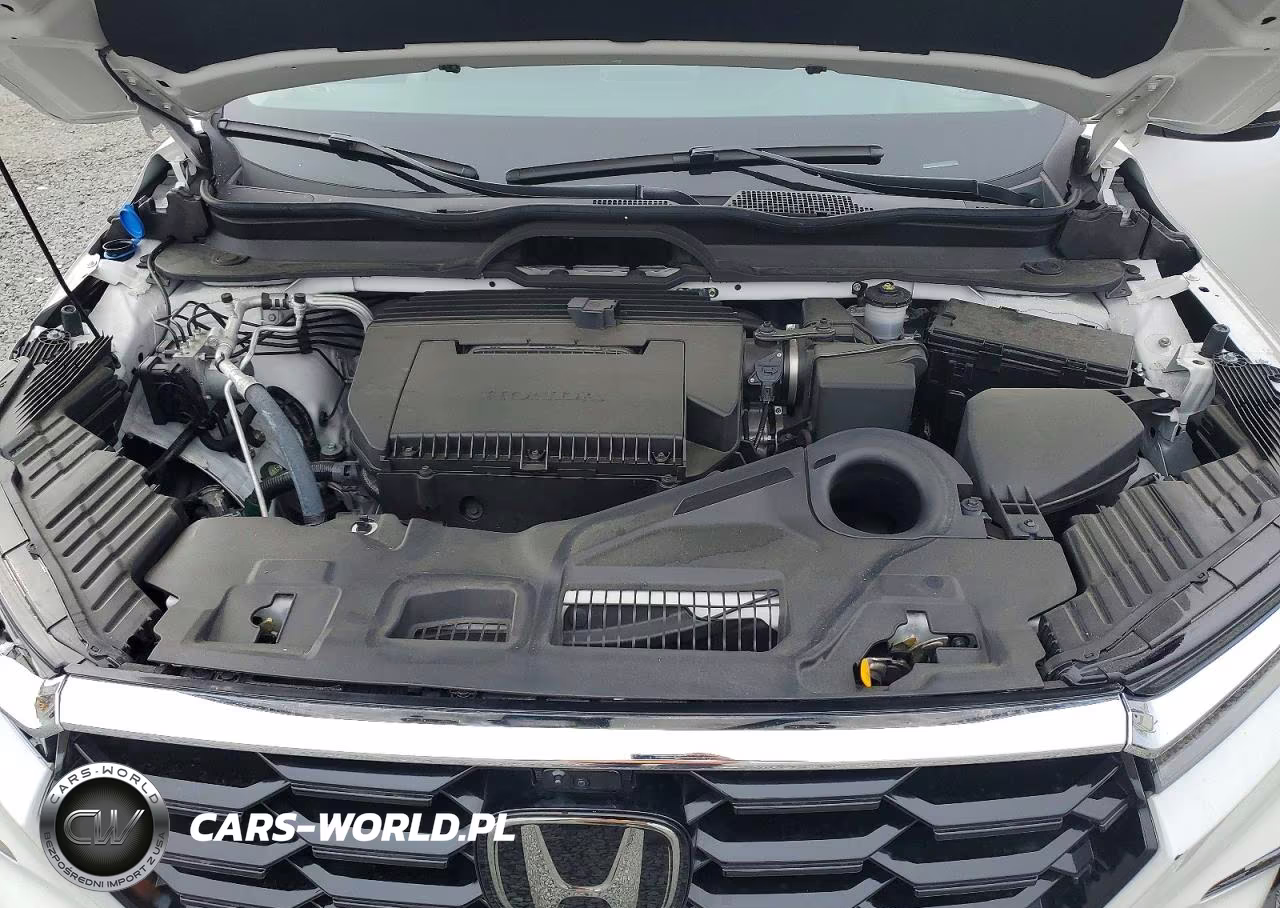 2025 Honda Pilot Elite VIN:5FNYG1H84SB106079 - 12