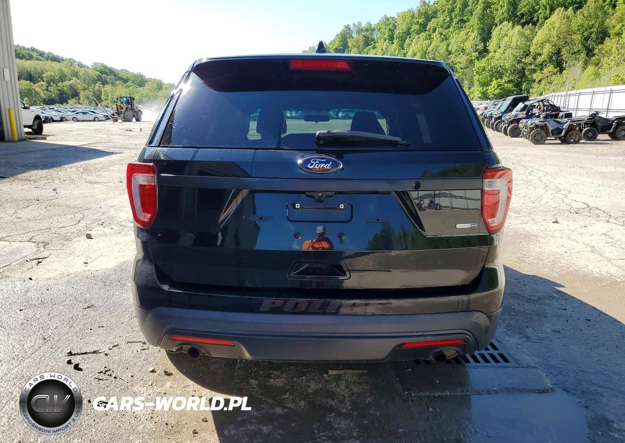 2016 Ford Explorer Police Interceptor VIN:1FM5K8AR1GGC41915 - 6