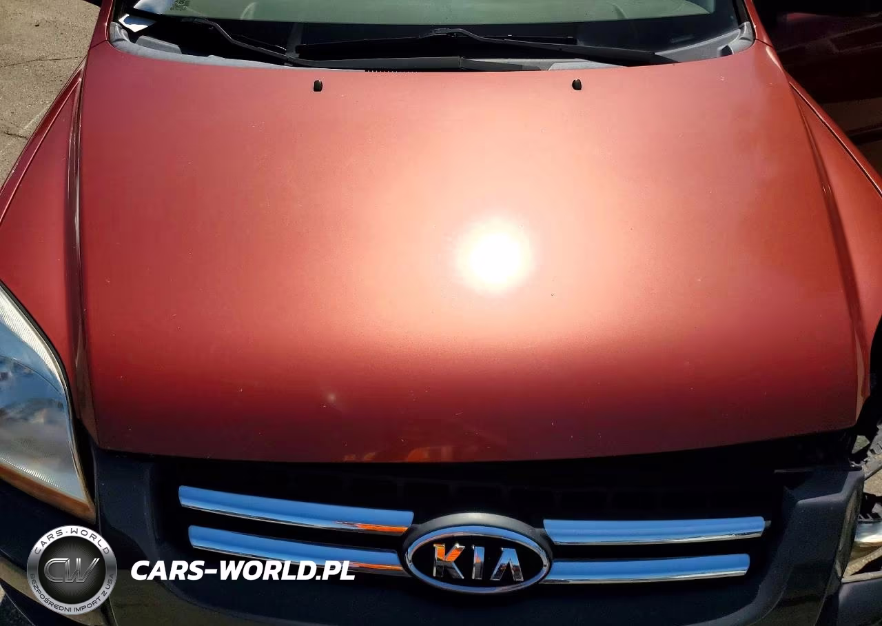 2006 Kia Sportage Lx VIN:KNDJE723967238502 - 12
