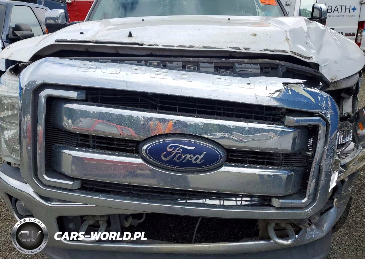 2014 Ford F350 Super Duty VIN:1FT8W3BT6EEA15994 - 11