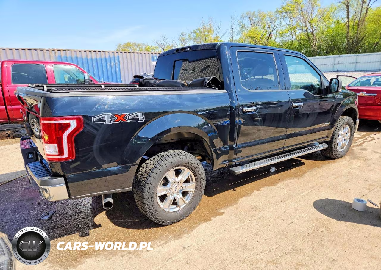 2016 Ford F150 Supercrew VIN:1FTEW1EP0GKE92141 - 3