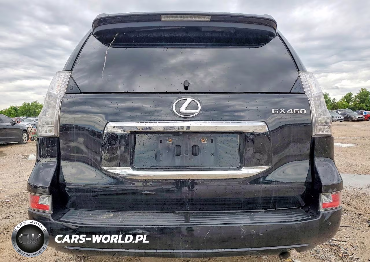 2017 Lexus Gx 460 Premium VIN:JTJJM7FX6H5173670 - 6