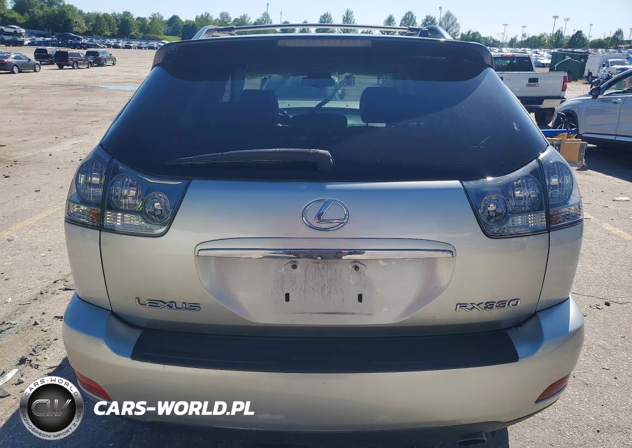 2004 Lexus Rx 330 VIN:JTJHA31U740055129 - 6