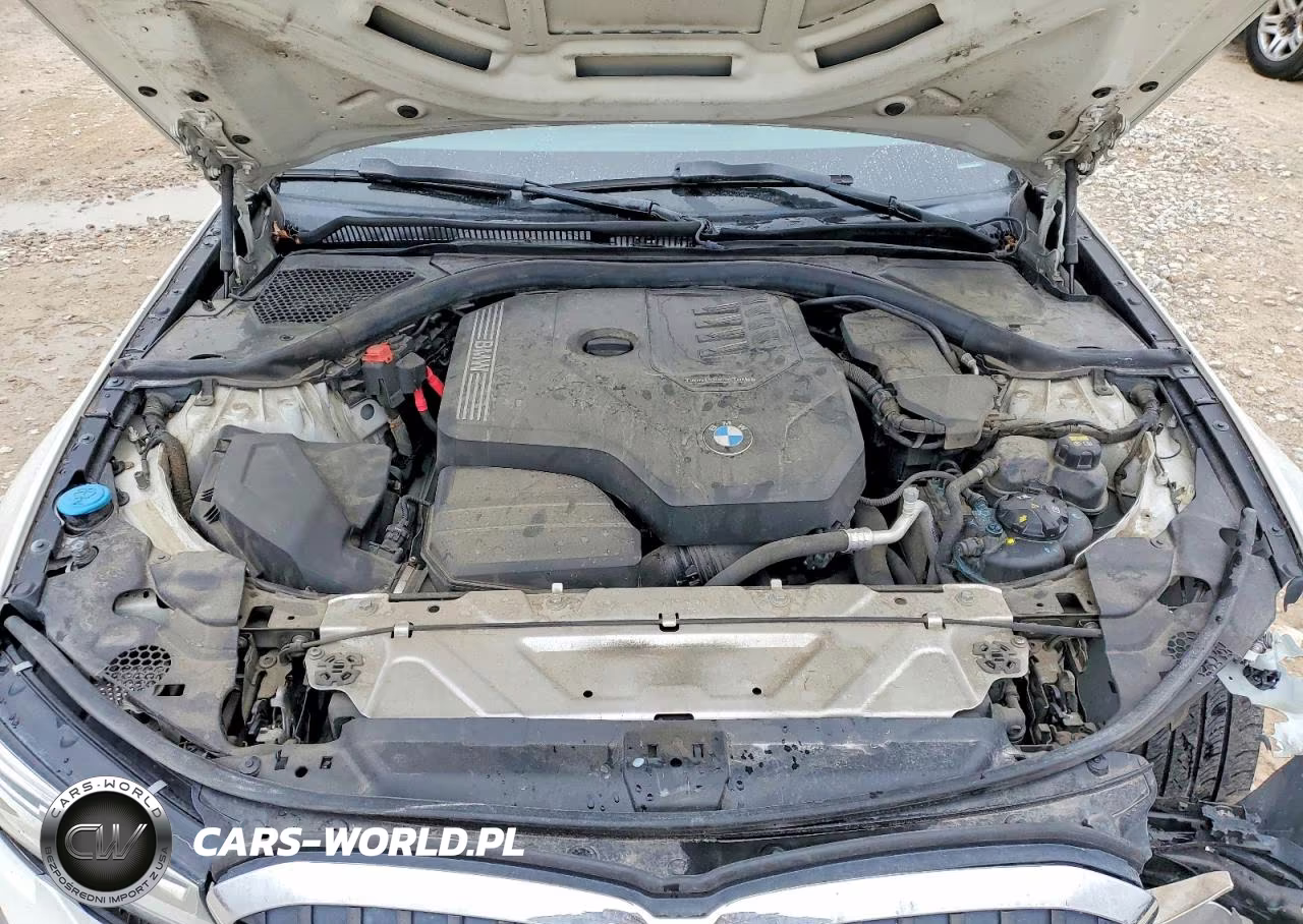 2020 BMW 330I VIN:3MW5R1J00L8B22252 - 12
