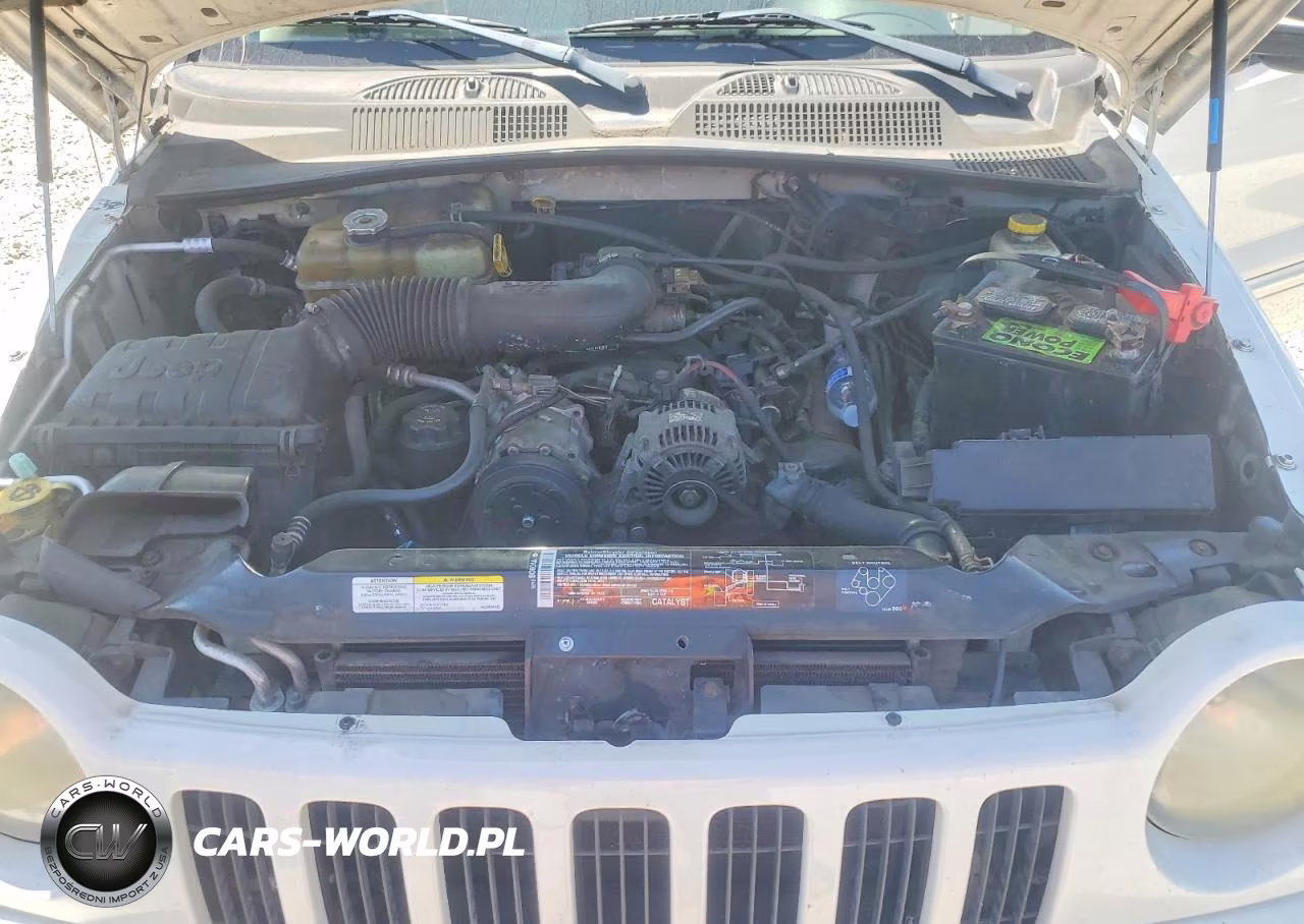 2004 Jeep Liberty Limited VIN:1J4GK58K94W244724 - 12