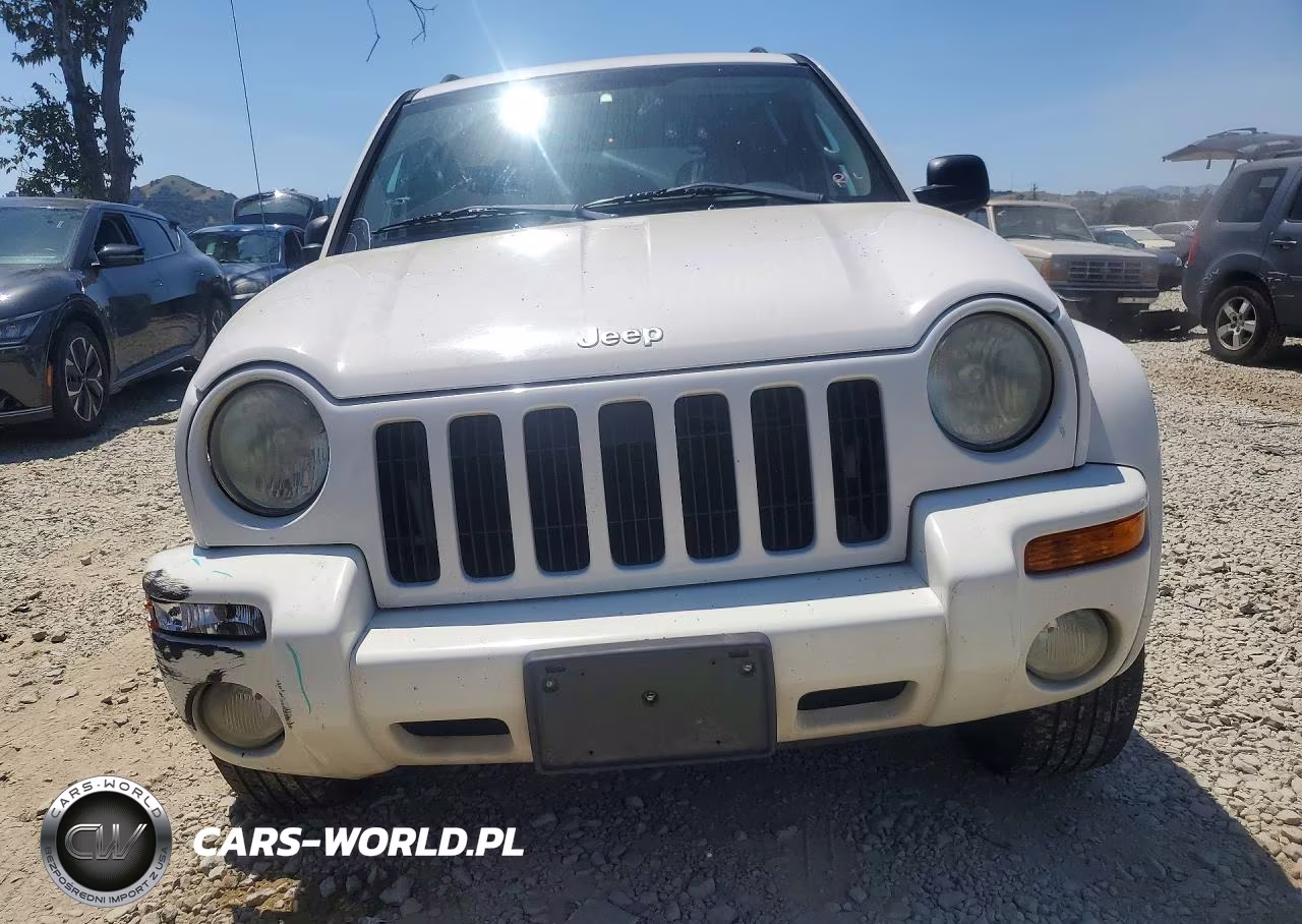 2004 Jeep Liberty Limited VIN:1J4GK58K94W244724 - 5