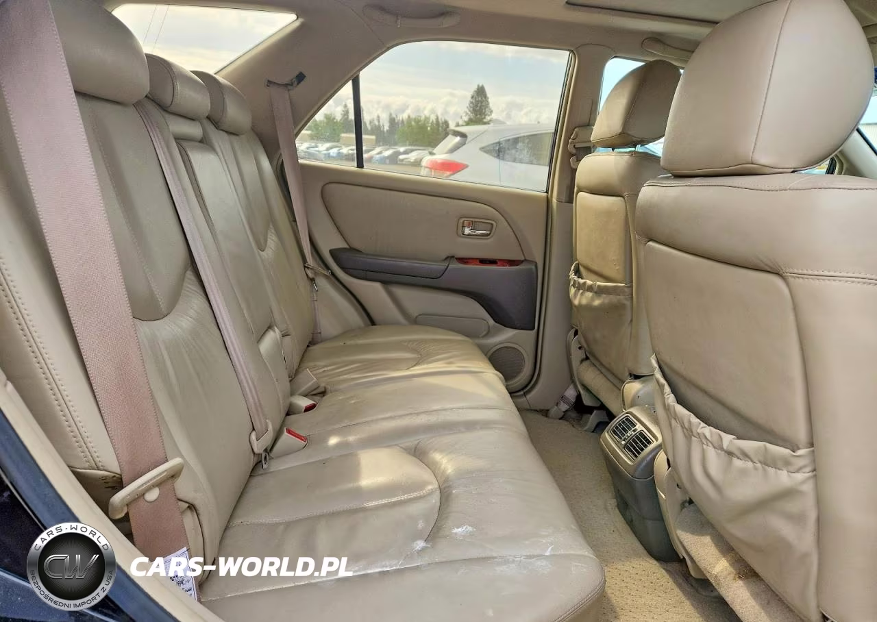 2001 Lexus Rx 300 VIN:JTJHF10U010179648 - 10