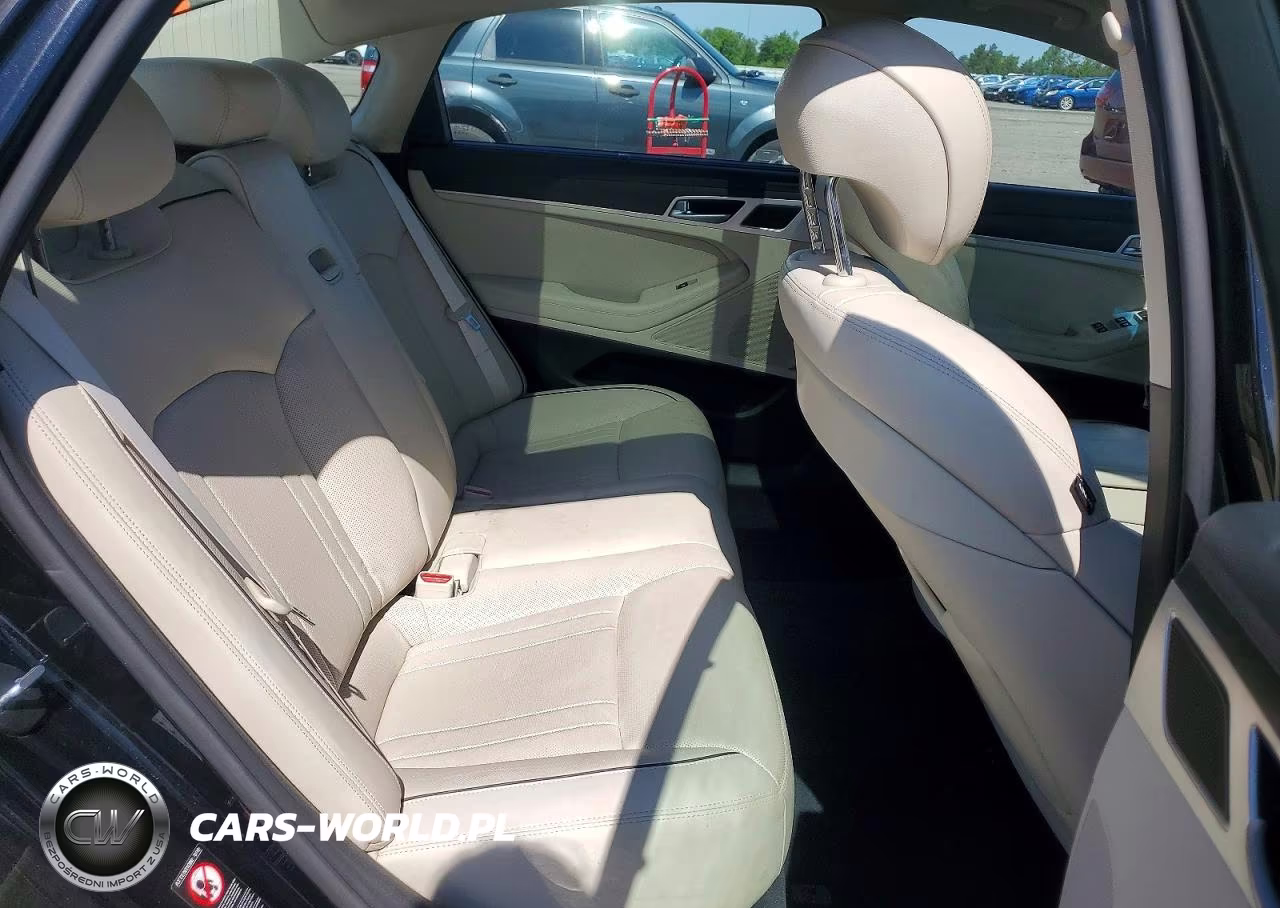 2017 Genesis G80 3.8 VIN:KMHGN4JE8HU172245 - 10