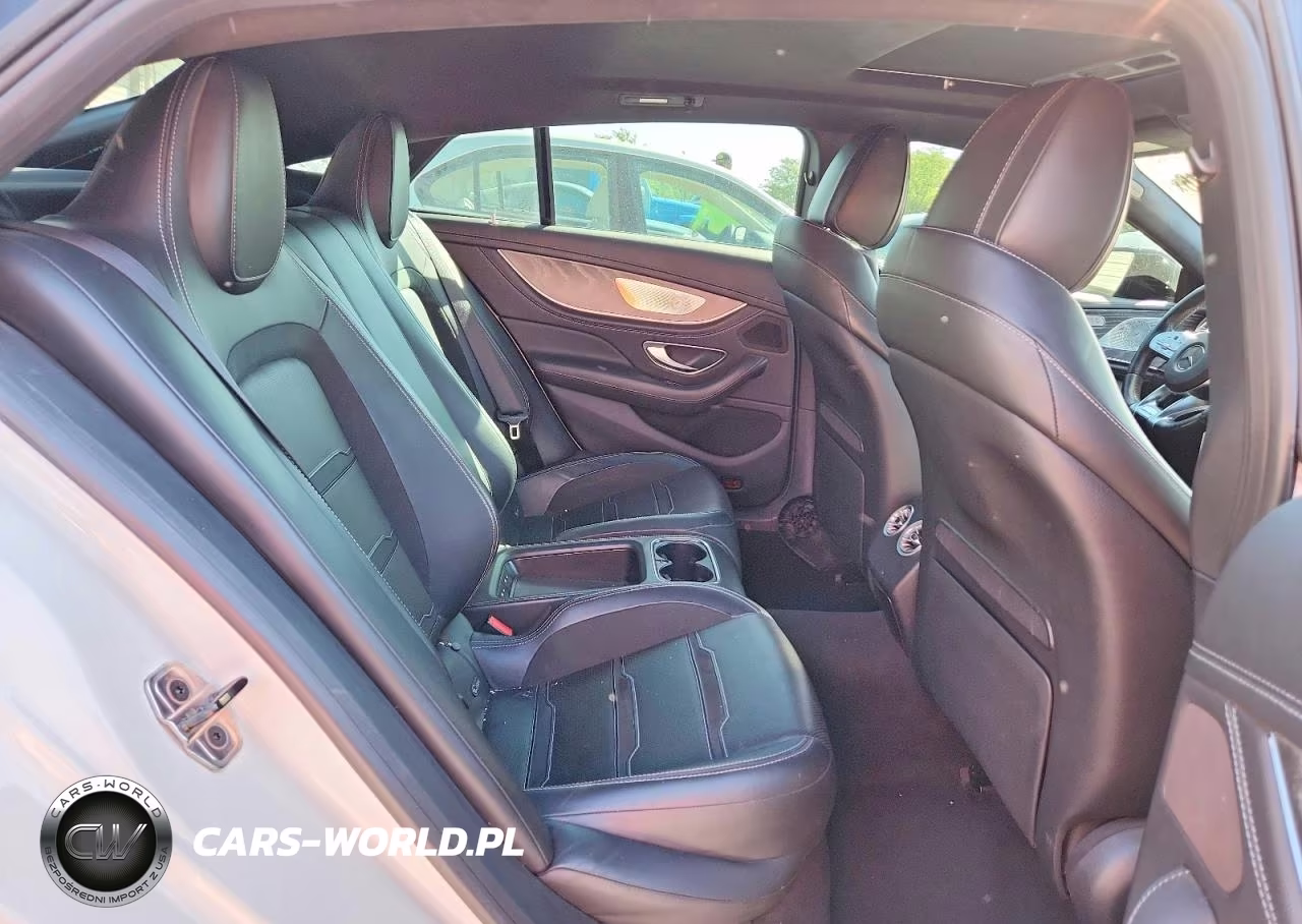 2019 Mercedes-Benz Amg Gt 53 VIN:WDD7X6BB9KA004322 - 10