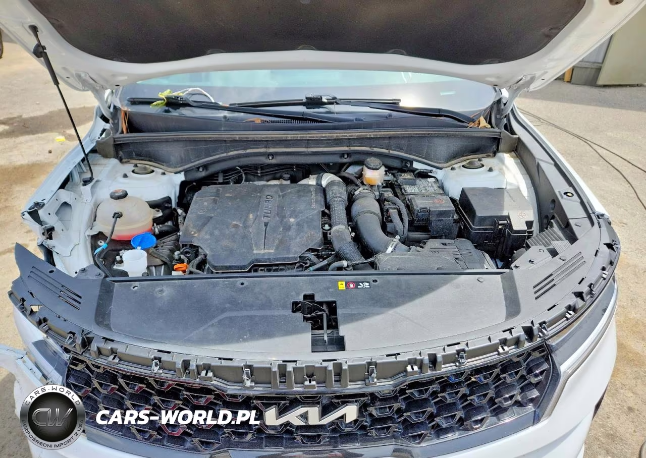 2022 Kia Sorento Ex VIN:5XYRH4LF1NG145265 - 12