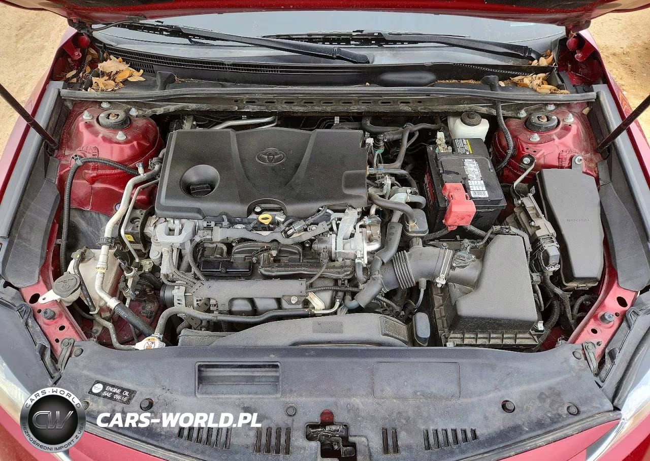 2020 Toyota Camry Le VIN:4T1C11AK0LU303286 - 11