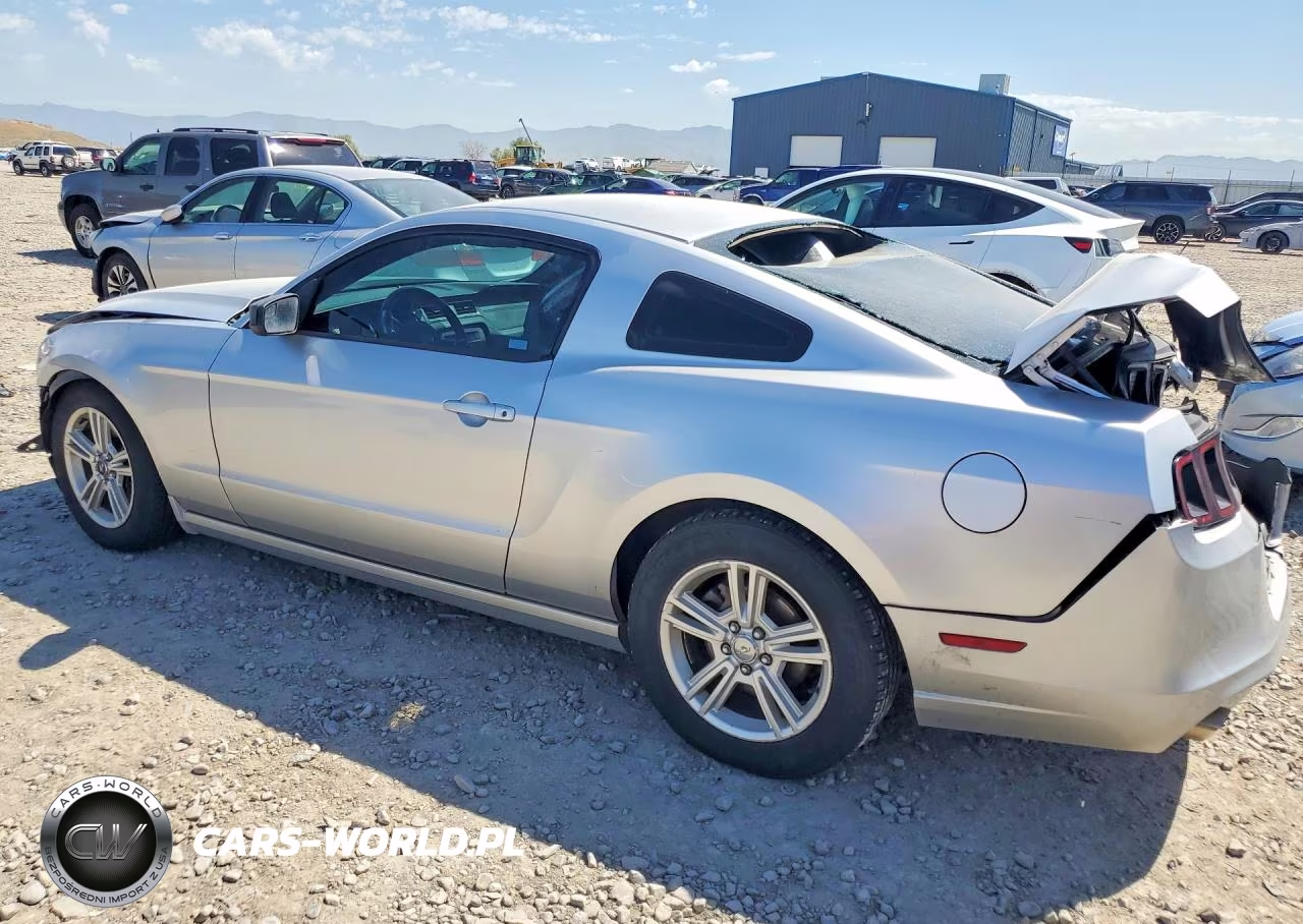 2014 Ford Mustang VIN:1ZVBP8AM2E5239707 - 2